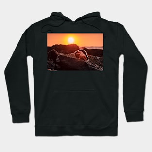 Orange Starfish and Sunset Hoodie